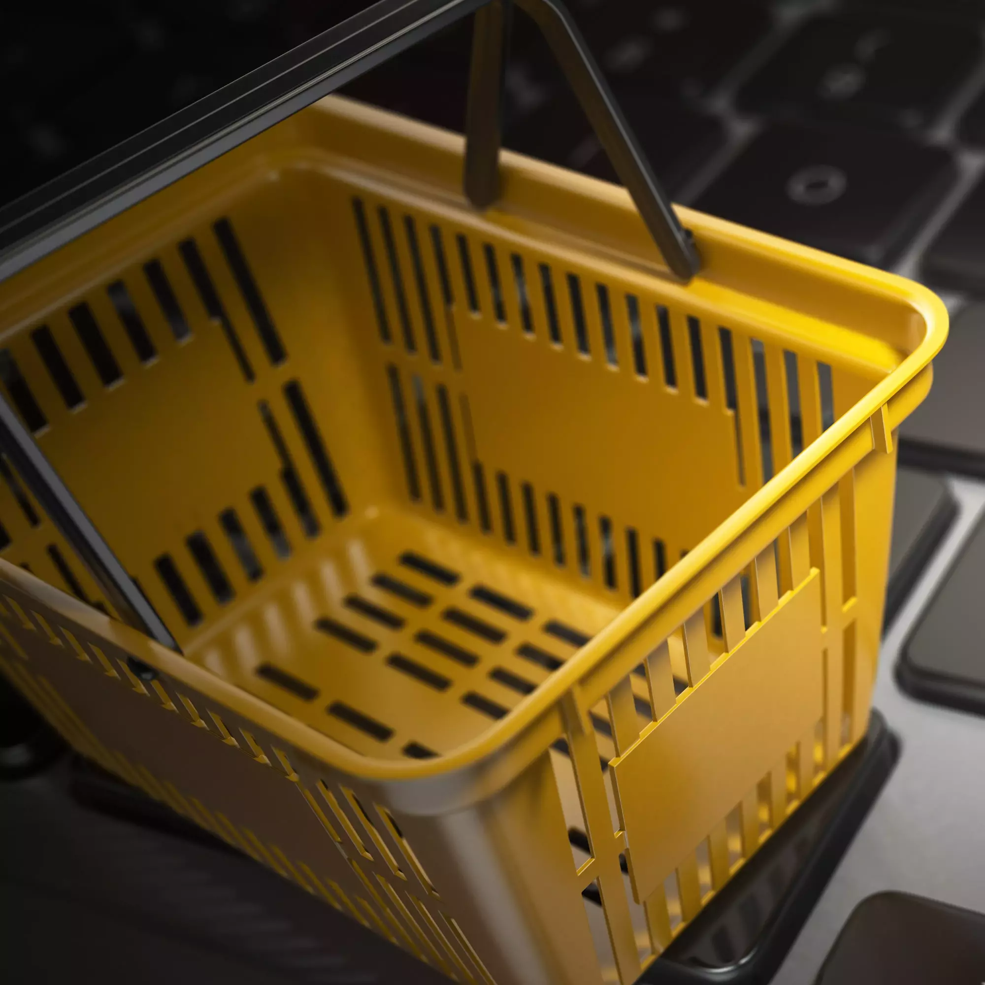 La teva botiga online E-COMMERCE La teva botiga online E-COMMERCE